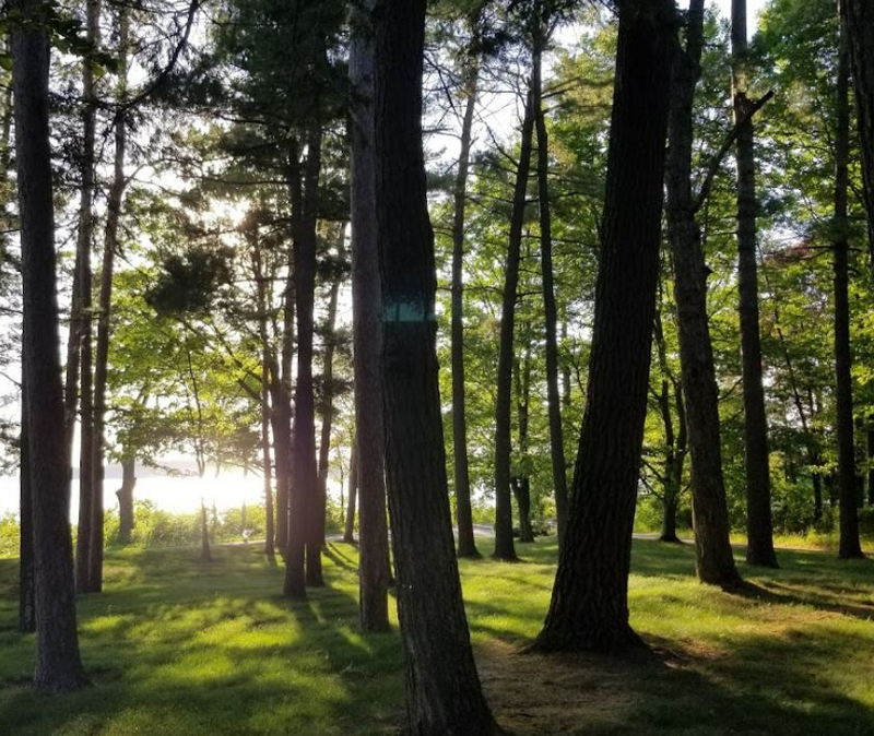 Peninsula Room (Bowers Harbor Inn) - From Web Listing (newer photo)